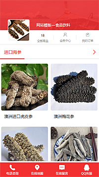 深蓝色背景图食品企业网站模板